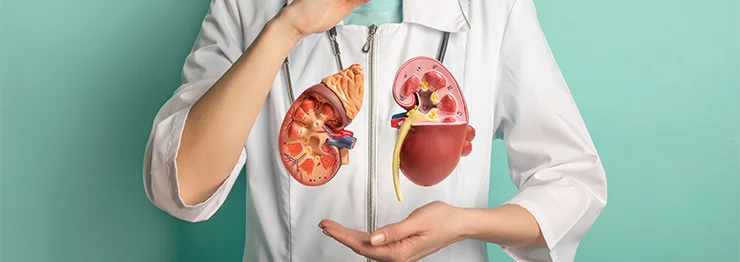 ABO Incompatible Kidney Transplants in Bhubaneswar