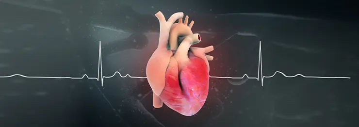 Coronary Artery Bypass Grafting in Kolkata