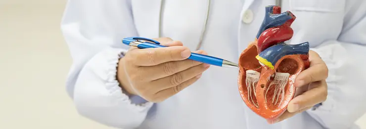 Complex coronary interventions in Kolkata