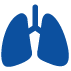 Pulmonology (Respiratory and Sleep Medicine)