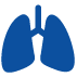 Pulmonology (Respiratory and Sleep Medicine)