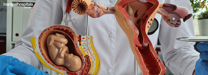 Fertility Specialist in Mysore