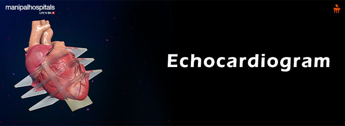 2D vs 3D Echocardiography