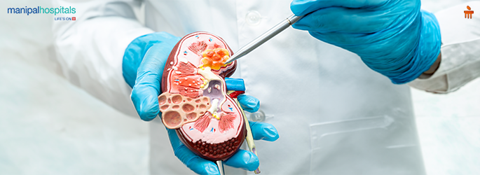 All You Need to Know About the Stages, Signs, and Treatment for Chronic Kidney Disease (CKD)