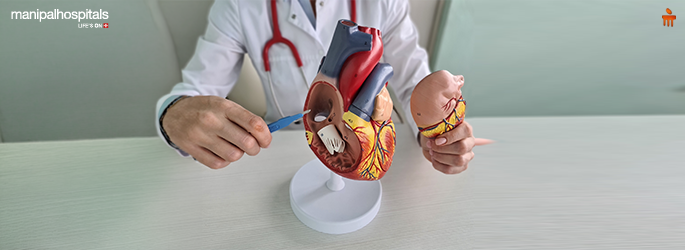 Aortic Valve Calcification Treatment and Diagnosis