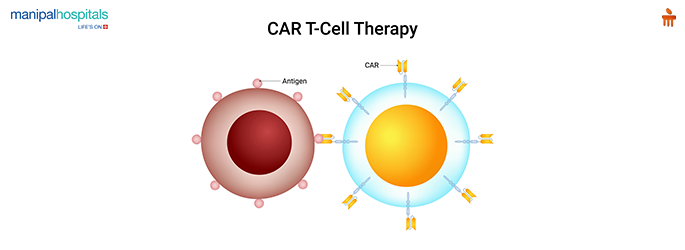 CAR T cell therapy