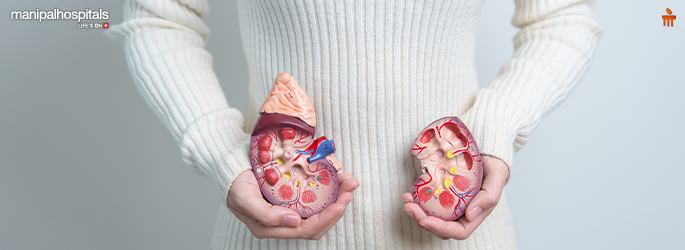 Life After Kidney Transplant: Success Rate, Recovery Time & Long-Term Health