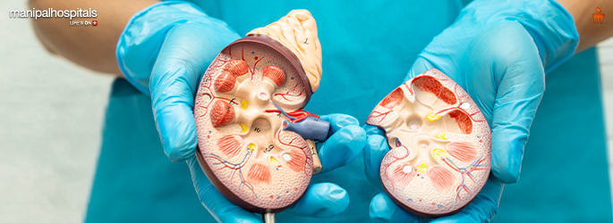 Chronic Kidney Disease in India: CKD Causes, Symptoms & Prevention