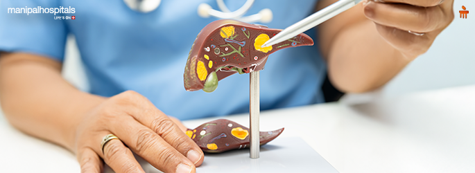 Fatty Liver Causes, Risks & Treatment