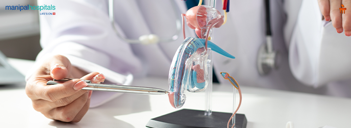 Frenuloplasty treatment details