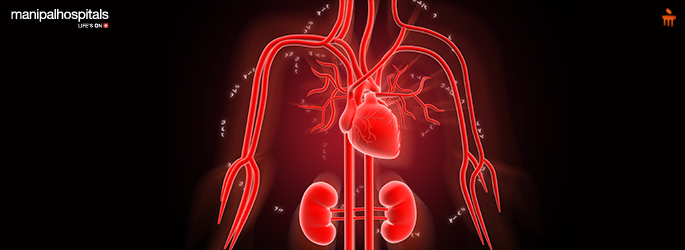 High blood pressure and kidney health connection