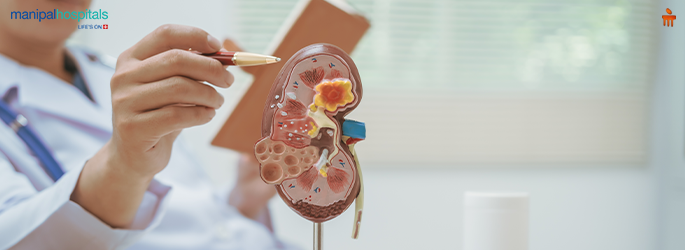 How Lifestyle Changes Can Delay Progression of Kidney Disease