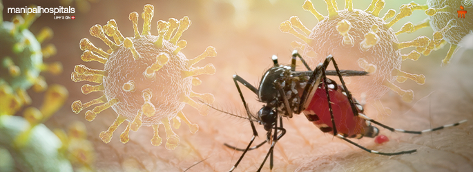 How to Protect Yourself from Mosquito-Borne Illnesses During Monsoon