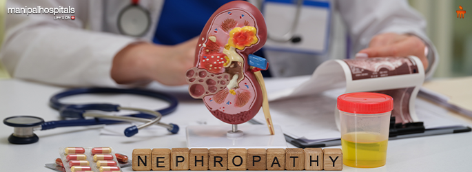 IgA Nephropathy: Symptoms, Causes, and Treatment Options Explained