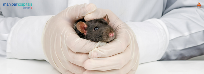 Rat Poison Exposure in Humans: Symptoms, Risks, and Treatment