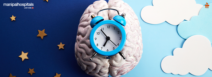 Understanding How Circadian Rhythms Govern Sleep and Health