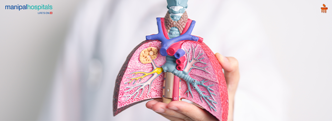Understanding Respiratory Diseases: From Asthma to Pulmonary Fibrosis