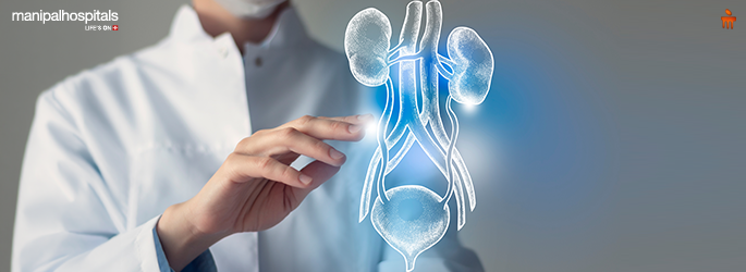 Urinary Tract Infection (UTI): Symptoms, Causes & Prevention