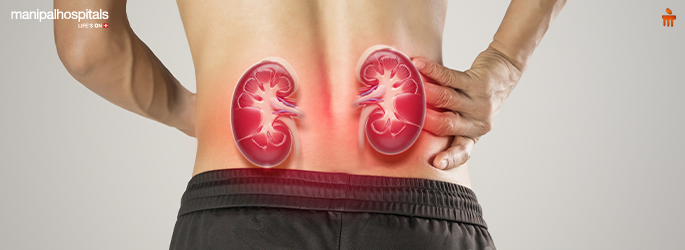 What Causes Kidney Swelling? Understanding Hydronephrosis in Detail