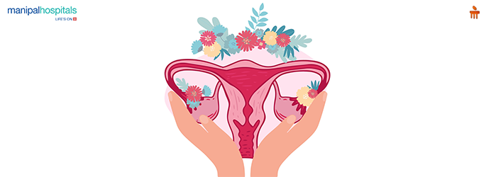 Polycystic ovary ultrasound image
