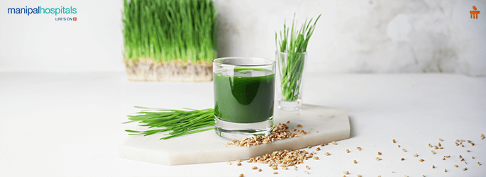 XPRS Nutra Organic Wheatgrass Juice Powder - Cold-Pressed, High Chlorophyll Superfood