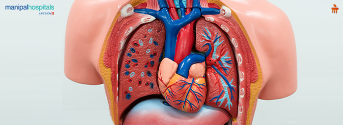 Air Leaks in the Lung: Understanding the Risks of Collapsed lung​