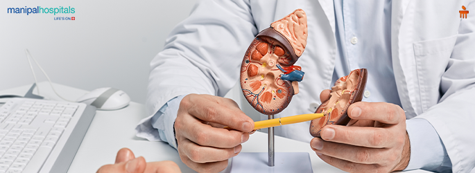 Medical illustration of a human body with one kidney