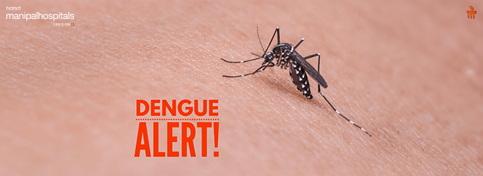 Dengue Fever Its Causes, Symptoms, Treatment and Prevention