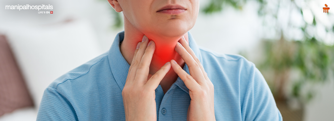Effects of the Thyroid on the Body