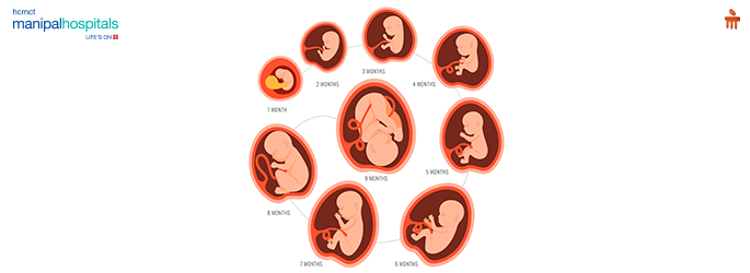 Fetal Medicine