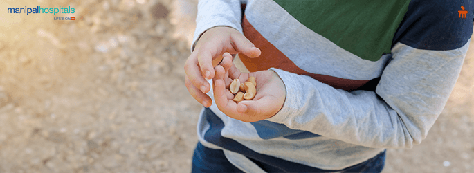 Common foods that cause allergies