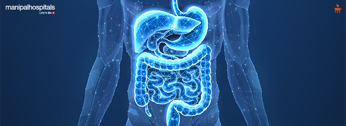 gut health