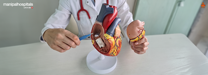 Is Heart Valve Replacement Right for You? Symptoms, Surgery, and Alternatives