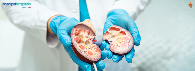 Kidney Failure: Symptoms, Causes, and Treatment Options Explained