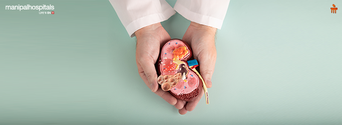 Kidney Function Test Results Explained: What High Creatinine Symptoms Mean