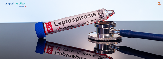 Leptospirosis Infection: Causes, Risk Factors, and Complications Explained