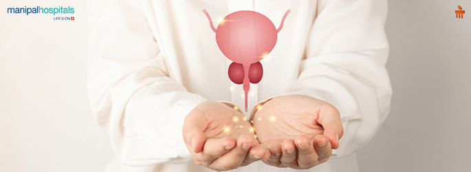 Prostate Gland It's Function, Disorders and Treatment