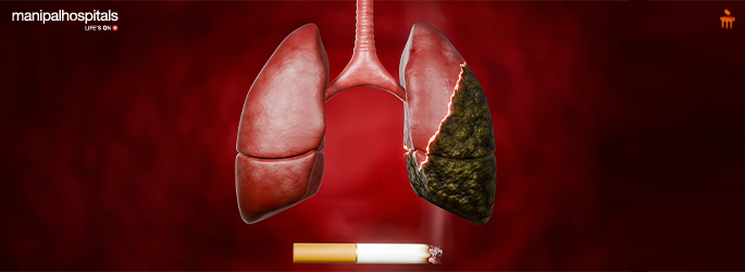 Smokers vs Normal Lungs: How Smoking Damages Lung Health