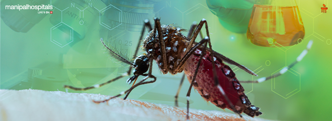 Tips to stay safe from dengue malaria and chikungunya