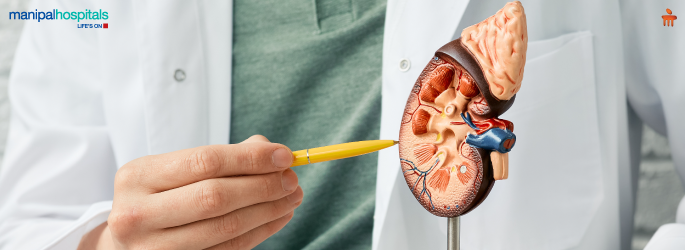 Causes, symptoms, prevention, and treatment of kidney stones by expert urologists