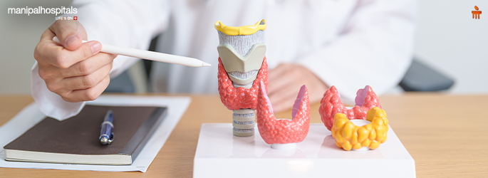 World Thyroid Day 2025: Raising Awareness for Thyroid Health