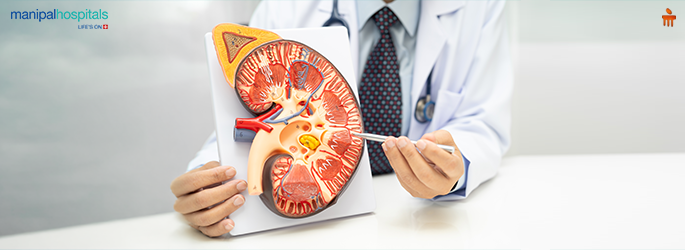 ಮಧುಮೇಹ ನಿಮ್ಮ ಮೂತ್ರಪಿಂಡಗಳ ಮೇಲೆ ಹೇಗೆ ಪರಿಣಾಮ ಬೀರುತ್ತದೆ? ಆರಂಭಿಕ ಲಕ್ಷಣಗಳು ಮತ್ತು ಚಿಕಿತ್ಸೆ