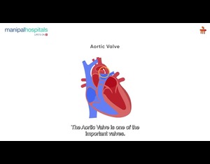 Understanding Ageing & Heart Valve Problems