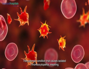 Platelets | Dr. Mallikarjun Kalashetty | Manipal Hospital Old Airport Road