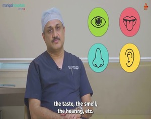 Why the Head & Neck Region Is So Critical 
