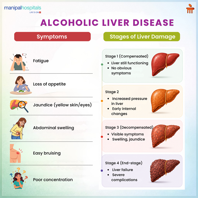 Alcoholic Liver Disease Explained: Diet, Care, and Daily Changes