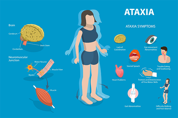 Comprehensive Guide to Different Ataxia Types