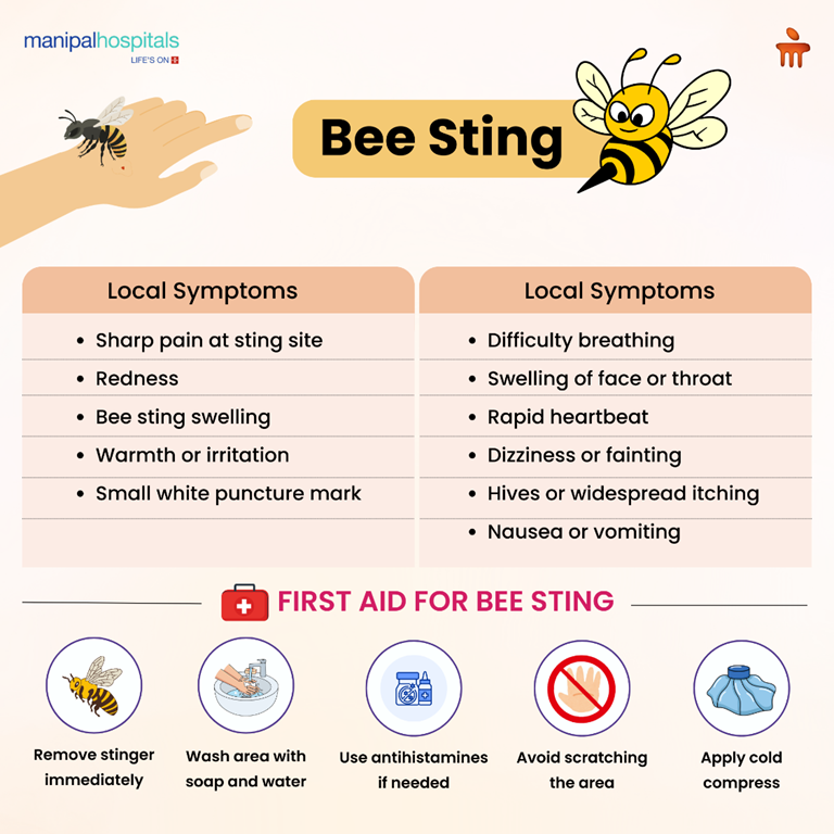 Bee Sting: Symptoms, Risks, and When You Should Seek Medical Help