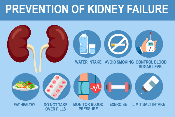 Medical illustration of a human body with one kidney