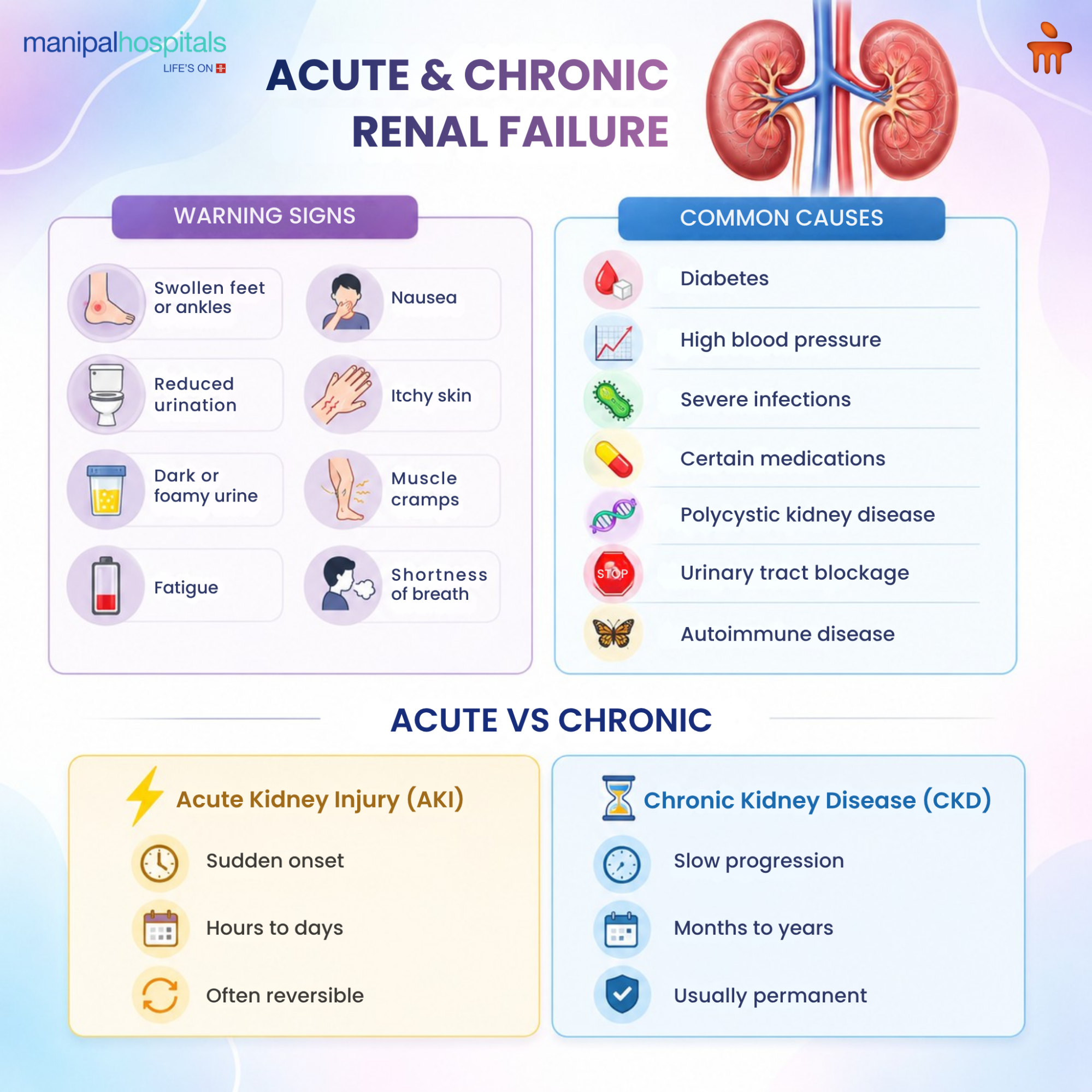 Difference Between Acute and Chronic Renal Failure Explained